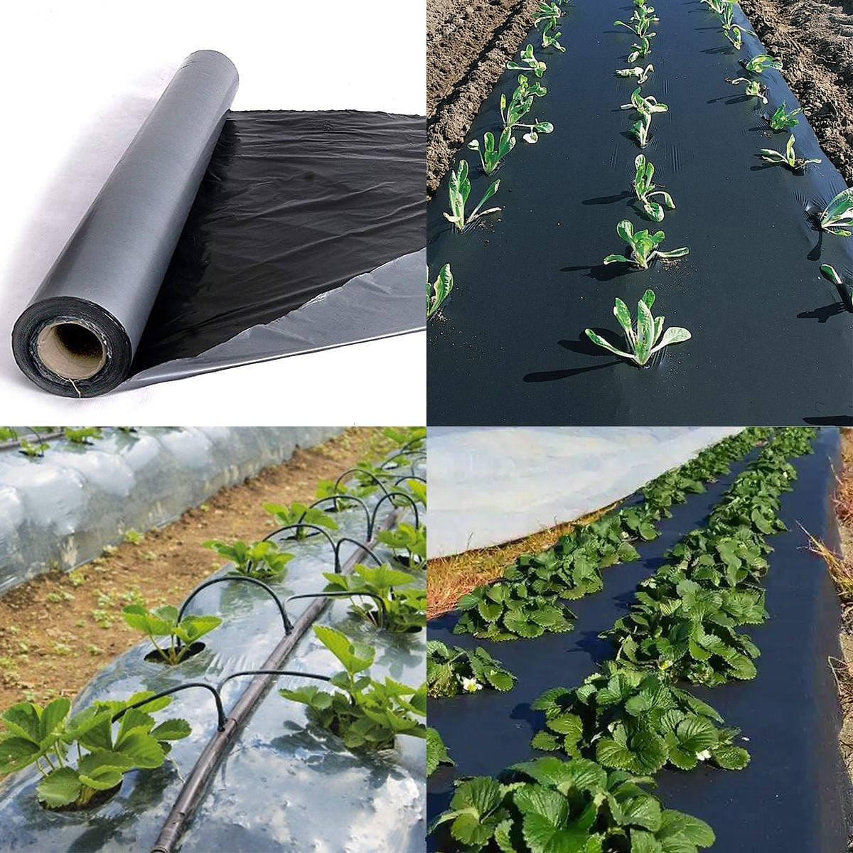 AGROFILMS AND ACCESSORIES from Afeef Maimun, supplied in Nairobi and Mombasa