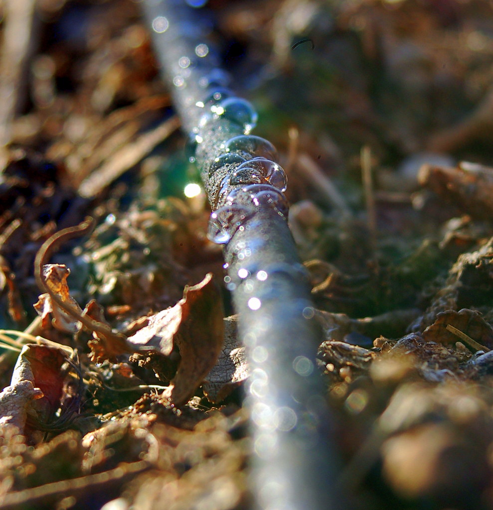 Gardening Drip Irrigation Kit — gardening and irrigation — 30 METERS — supplied by Afeef Maimun, Nairobi and Mombasa