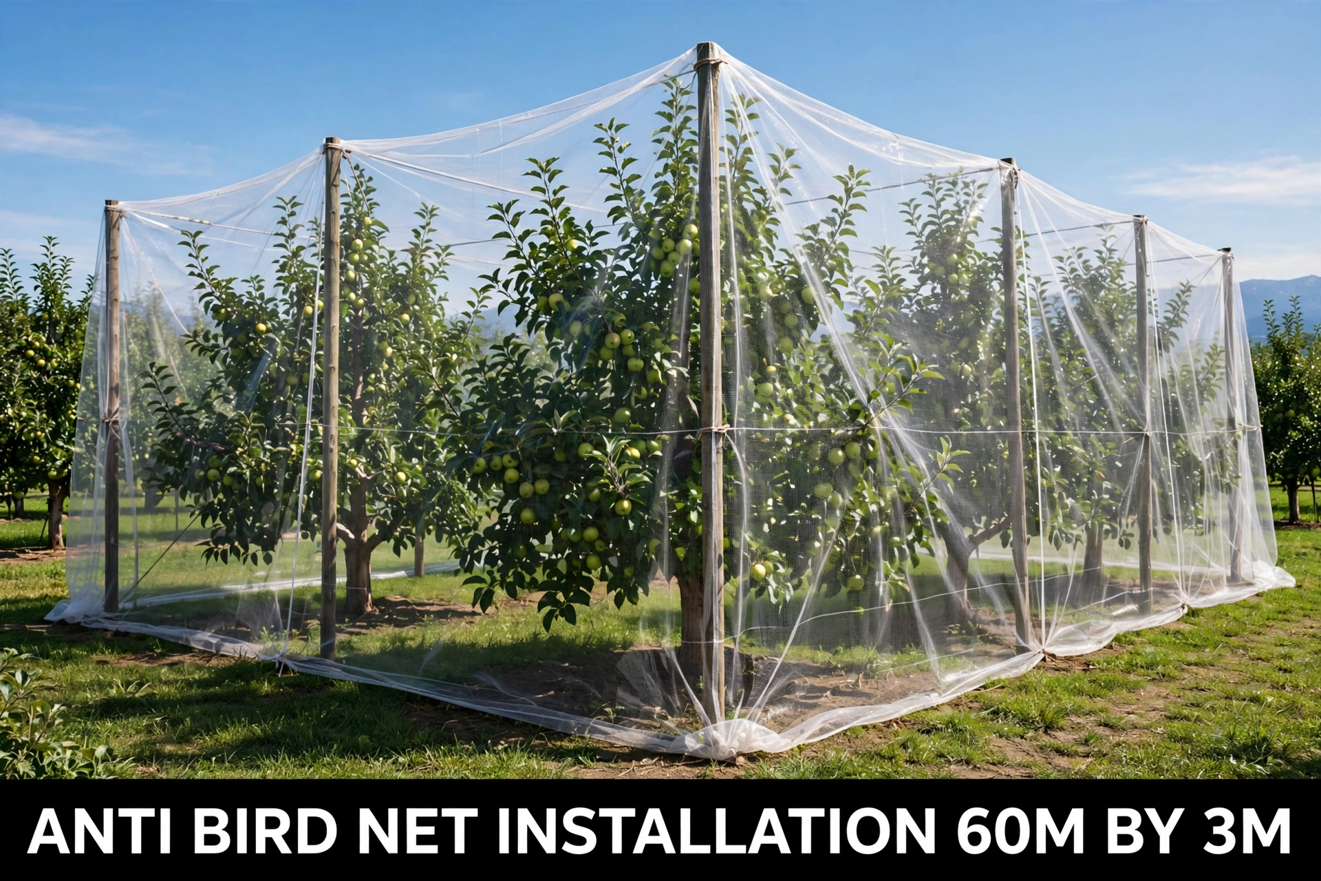 ANTI HAIL NET 50M BY 3M — agricultural nets — laid by Afeef Maimun, Nairobi and Mombasa
