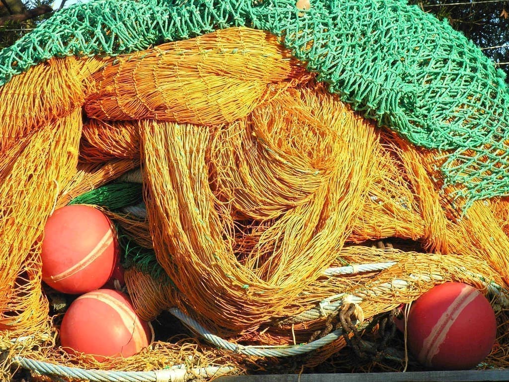 Cast Net — nets — 12 FEET — supplied by Afeef Maimun, Nairobi and Mombasa